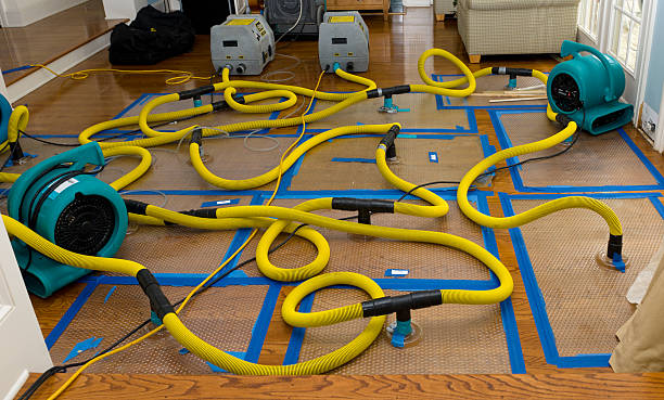 Professional Storm Water Damage Restoration technician working in Bennington, NE